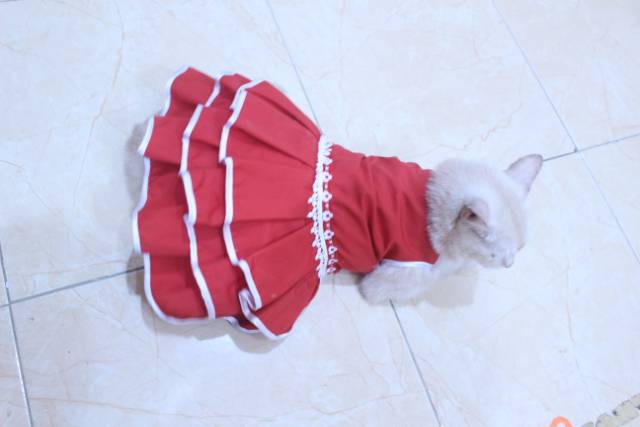 Dress polos warna merah lucu untuk kucing / baju kucing murah size S-XL