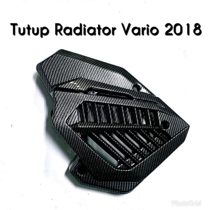Cover Radiator Carbon Vario125-150 new 2018-2021 Ori Nemo