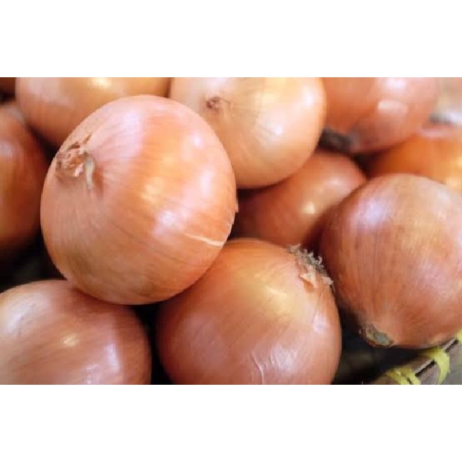 

Bawang Bombay sedang 50/60