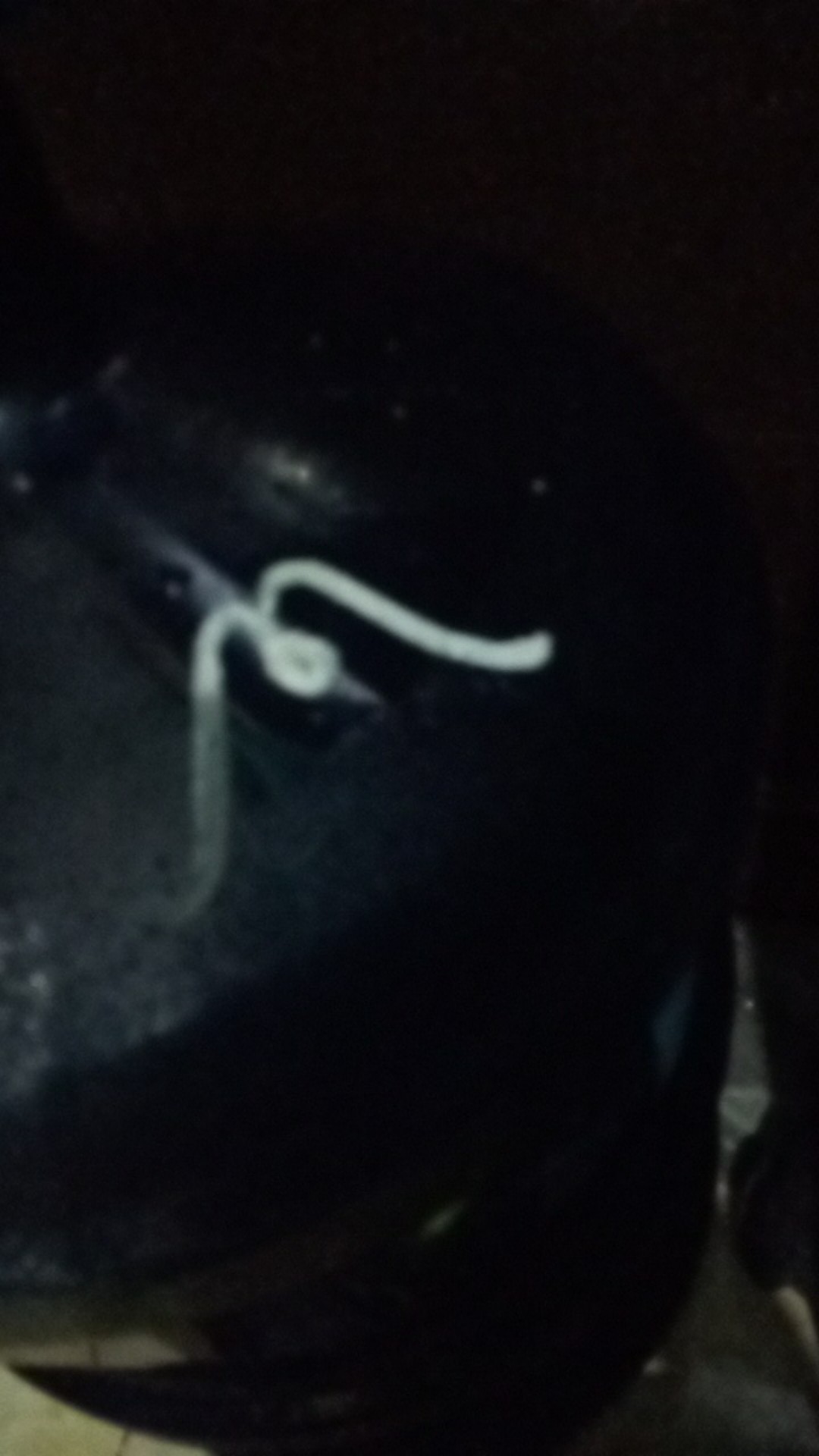 Alldays Payung Lipat Otomatis Portable Buka Tutup Otomatis Tinggal Pencet Anti Panas Dan Air Praktis