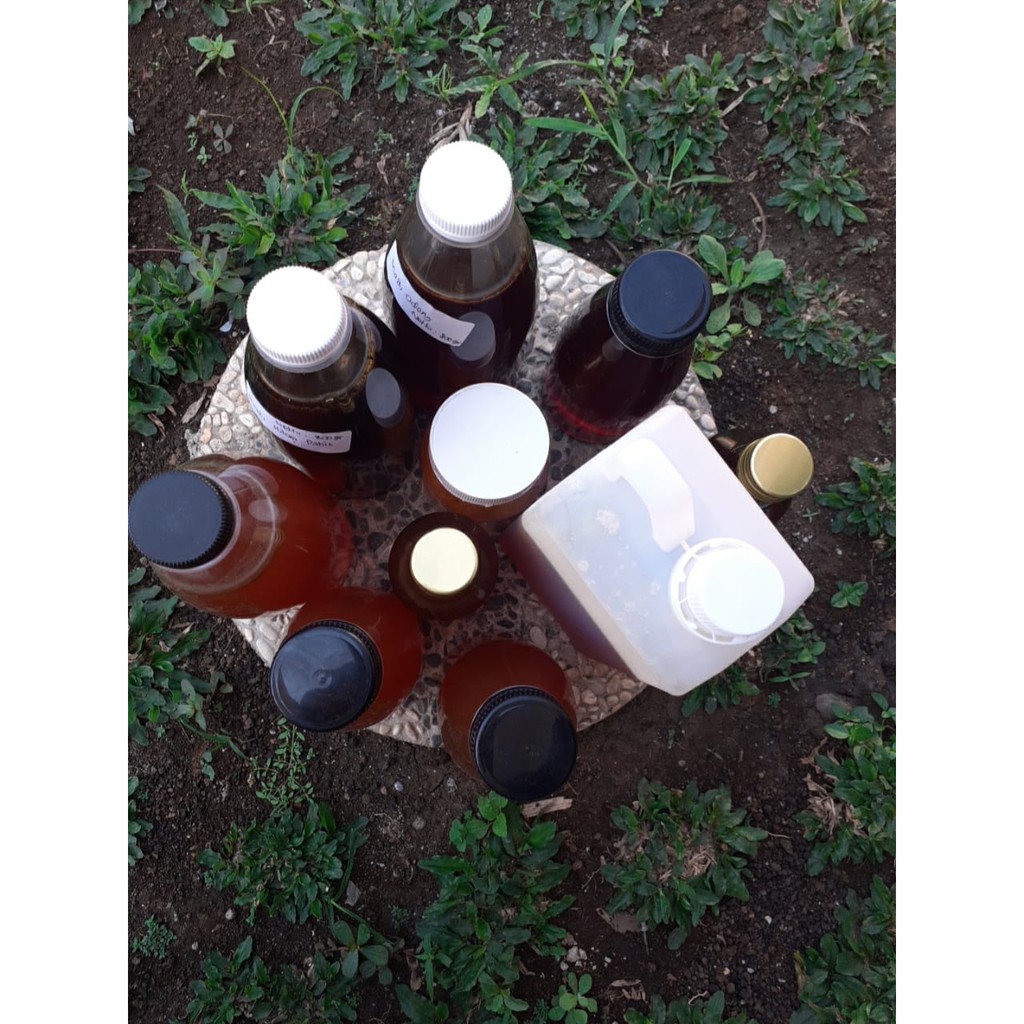 

Madu Akasia Premium Murni 100% Original