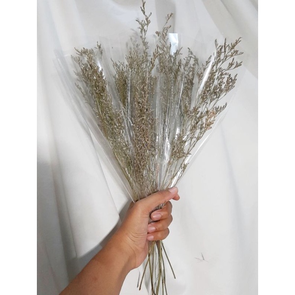 Caspea Bunga Kering Premium