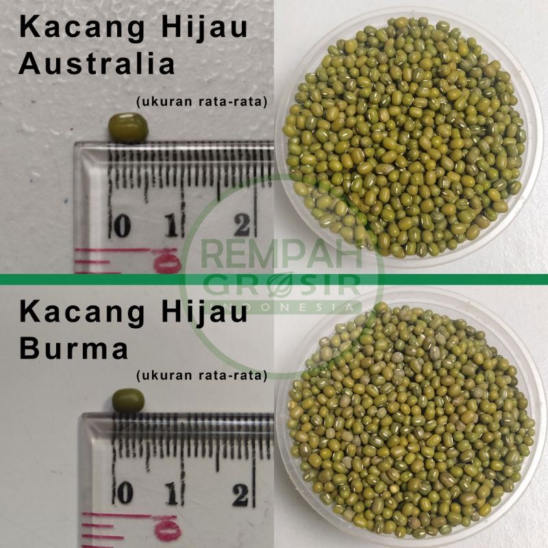 Kacang Hijau ex Australia(500 gram)/ Kacang Hijau Besar - tanpa direndam 15 menit matang