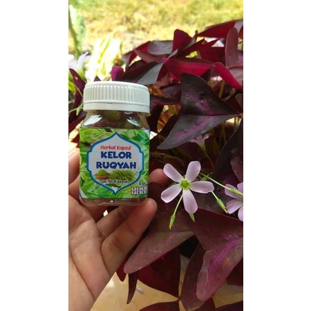 

KAPSUL RUQYAH DAUN KELOR 60