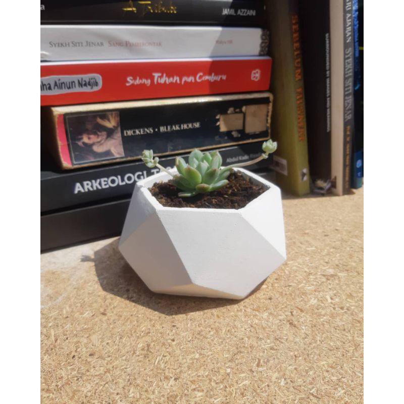 Pot Unik Hexagonal Putih Tanaman Indoor