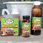 

madu hutan jambi