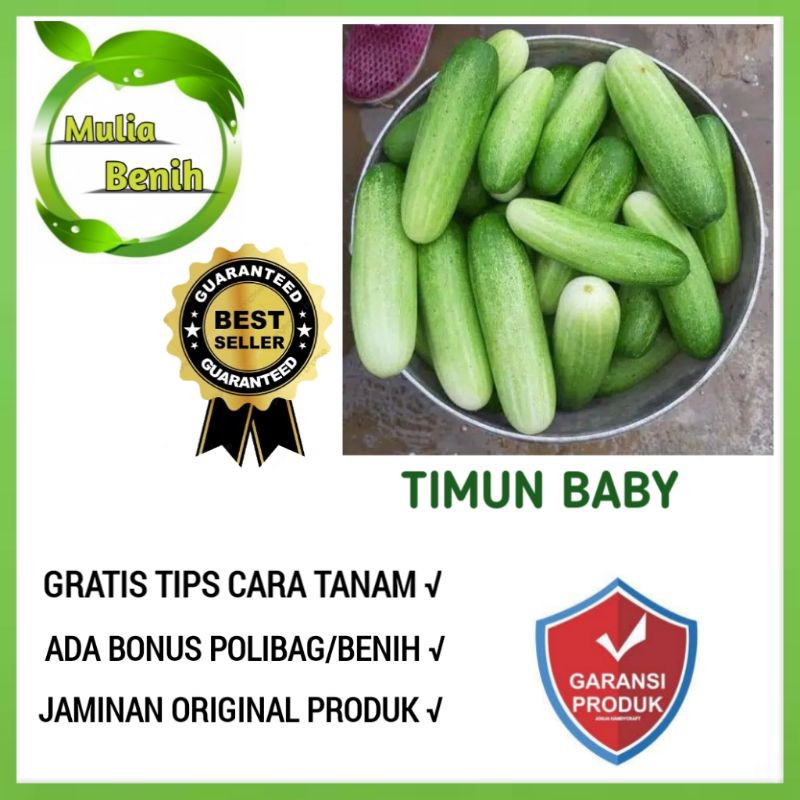 Isi 13 Biji - Benih Timun BABY MENTIMUN F1 CAP PANAH MERAH - Bibit Tanaman Sayur Sayuran Timun