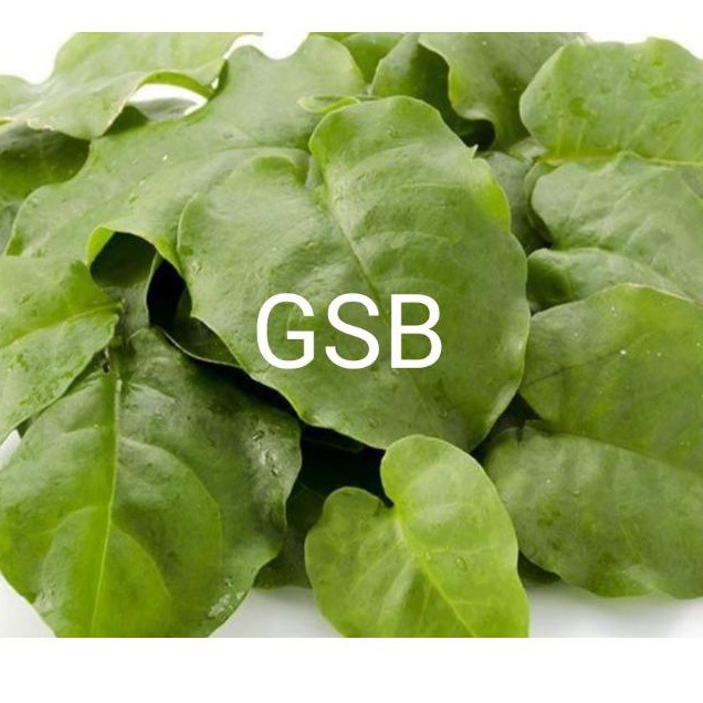 

Daun binahong segar 500 gram murni daun