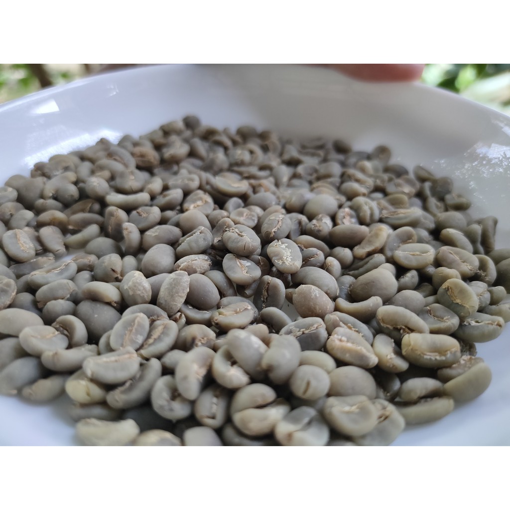 

Greenbean Arabika Gayo Semiwash 1kg super quality specialty