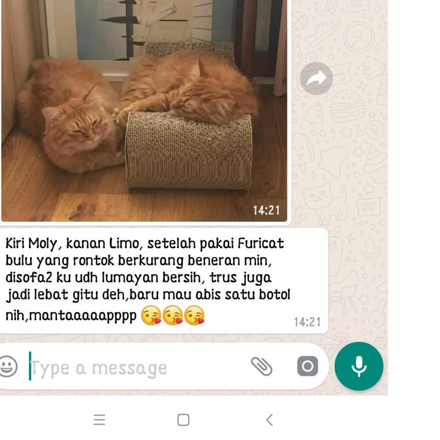 Terbaik B07 Furicat Kucing Vitamin Kucing Cat Food Makanan