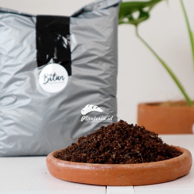 Media tanam monstera dari racikan alami sesuai habitat aslinya 2 kg
