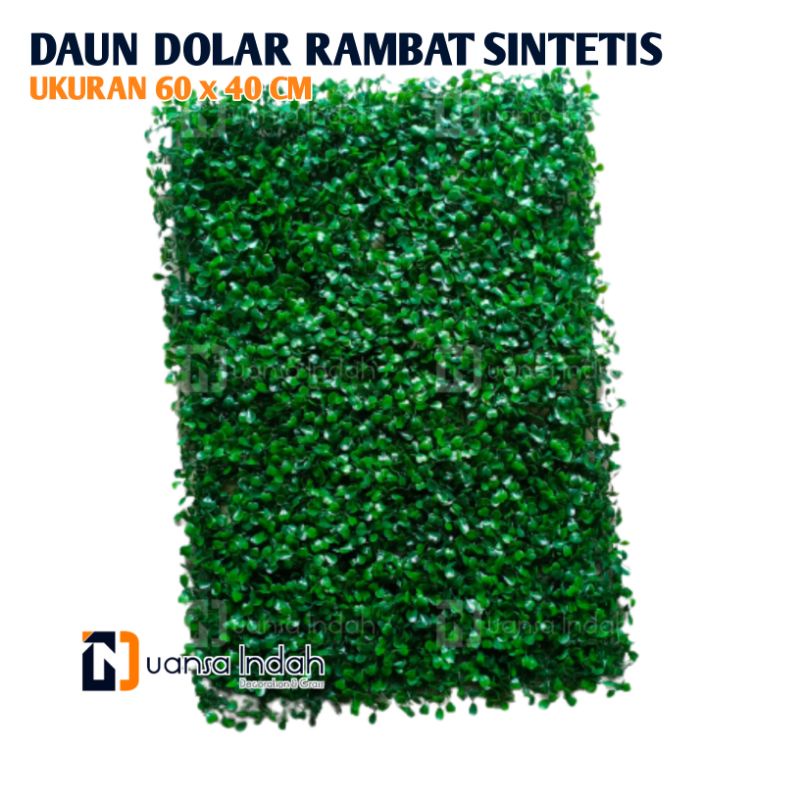 daun dolar rambat sintetis ukuran 60x40cm