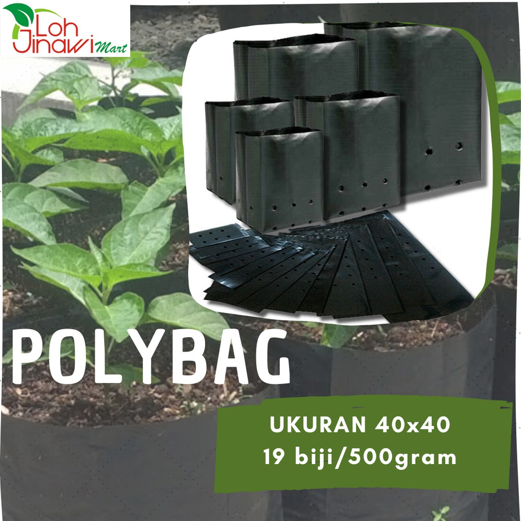 Plastik Polybag Polibek 40 x 40 kemasan 500 gr