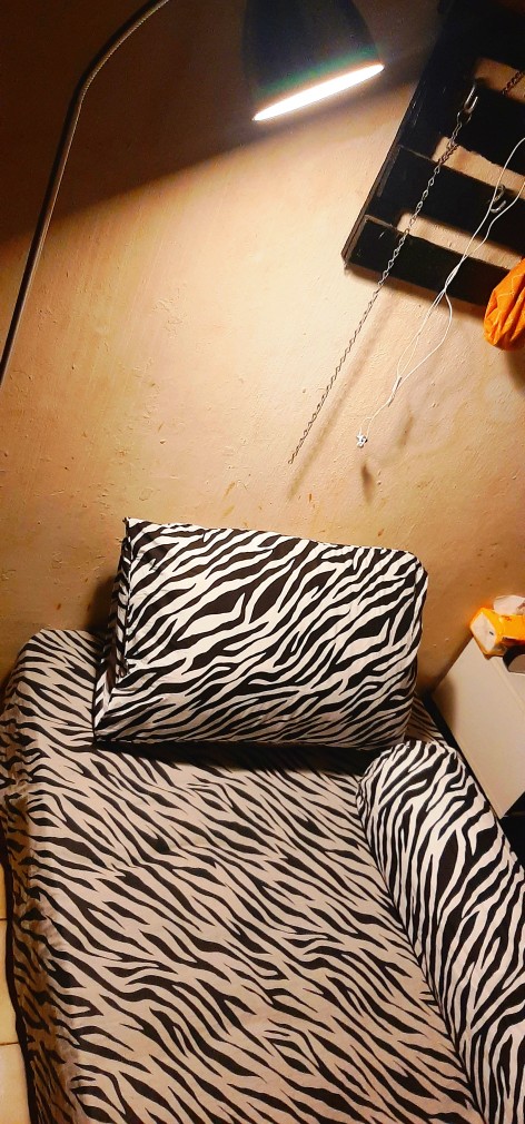 Sprei Motif Zebra Belang Katun Lokal Star Uk King Queen & Single