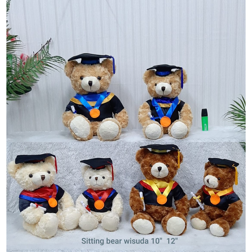 Boneka Toga Bear Snaill 10&quot;/23cm/Kado Wisuda Boneka Toga/Boneka Wisuda/Boneka Teddy Bear