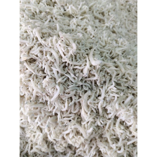 

TERI MEDAN ATAU TERI NASI