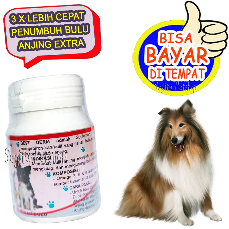 VITAMIN BULU ANJING RONTOK PENUMBUH PELEBAT RAMBUT PUPPY BEST DERM DOG