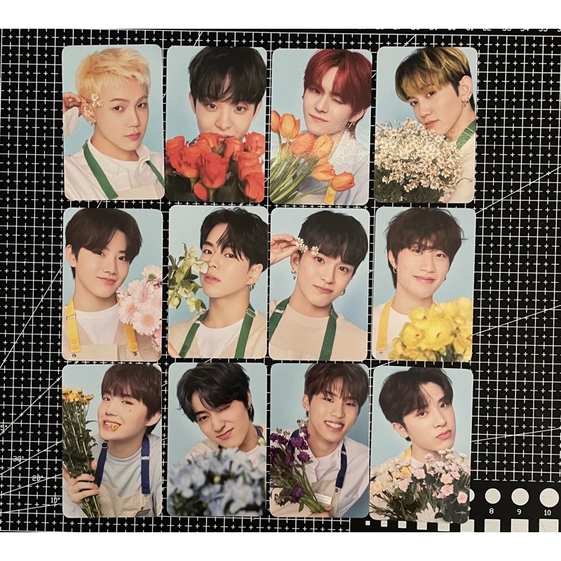 WTS TINCASE BLOOMING TREASURE CONCEPT PC