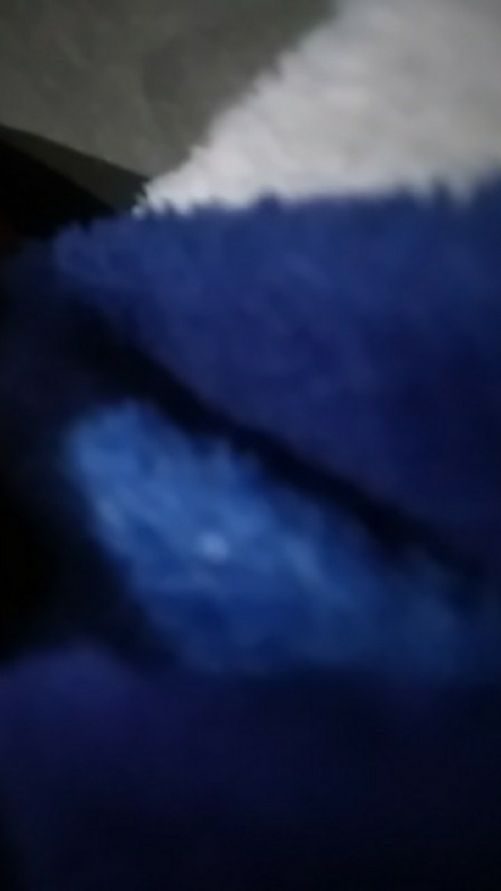 Kotak Mika Brownies (m)