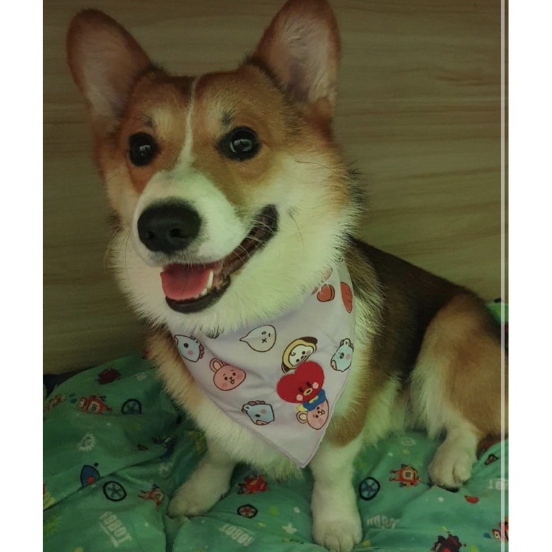 ADDITIONAL BABY BT21 WAPPEN / IRON PATCH