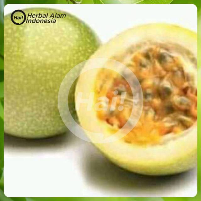

Buah markisa kuning segar(1kg)