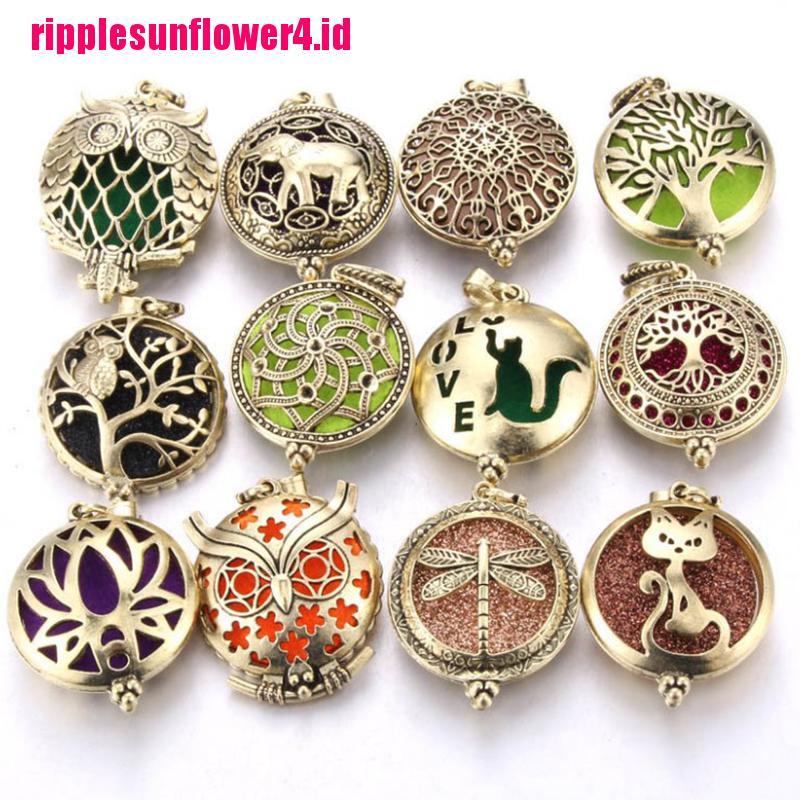 1pc Kalung Rantai Dengan Liontin Locket diffuser Minyak Esensial Aromaterapi Untuk Wanita