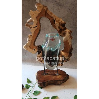 akuarium ikan cupang - model wayang w15/ aquascape