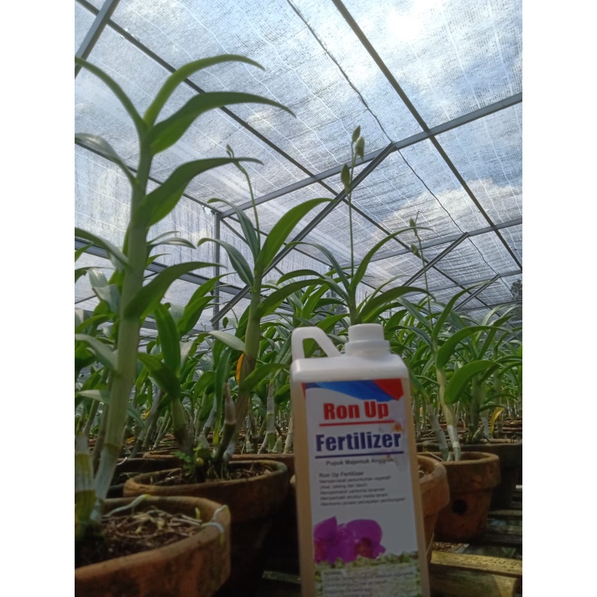 Ron up Fertilizer 1 liter