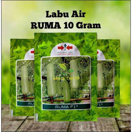 BENIH BIBIT TANAMAN SAYUR HIDROPONIK LABU WALUH AIR RUMA 10 GRAM & 30 BUTIR CAP PANAH MERAH