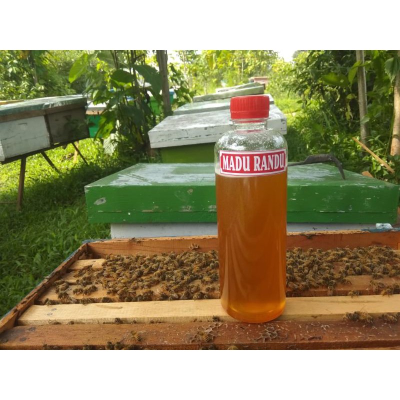 

madu randu asli murni
