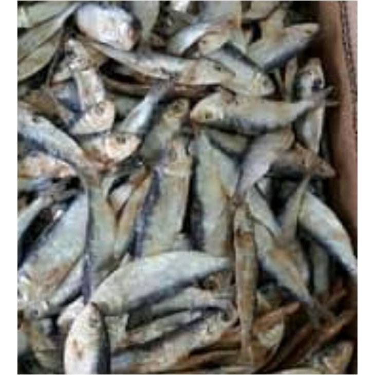 

Ikan Asin Tamban ( @ 1.000 Gr )