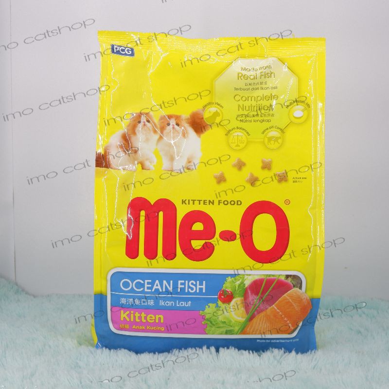 meo kitten ocean fish