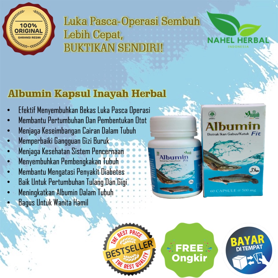 [Cod] Kapsul Kutuk Albumin Minyak Ikan Gabus Original - Obat Luka/Keloid Hitam Dan Gatal Di Kaki Ana