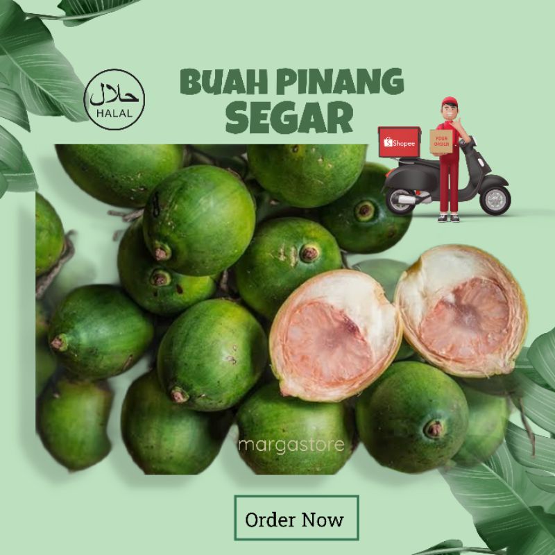 

Buah Pinang Muda 1000gr Buah Pinang Segar Buah Jame