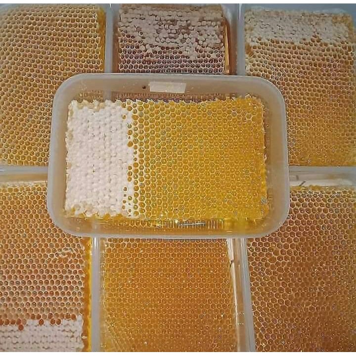 

Madu Sarang Melifera Murni Kualitas Premium 100% asli 500Gram