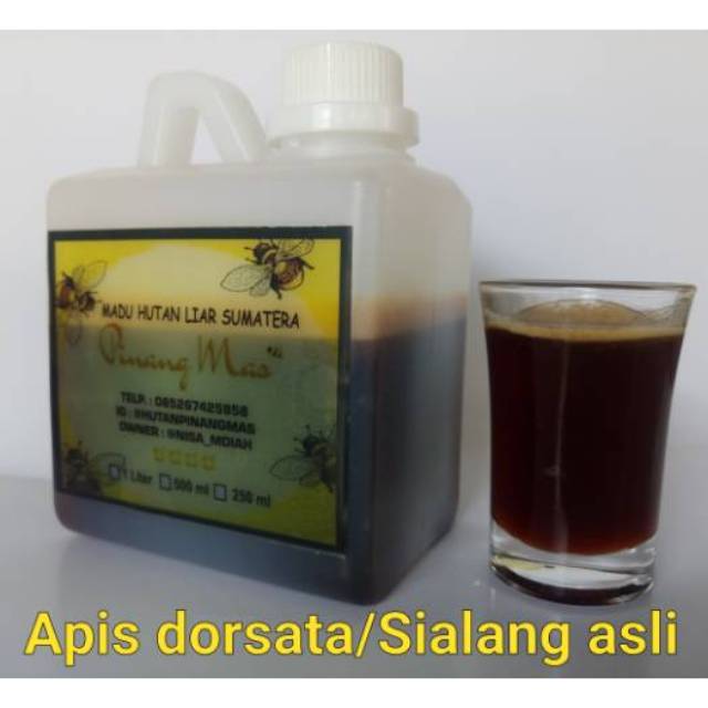 

MADU HUTAN PINANG MAS 500 ML SUMATRA SELATAN