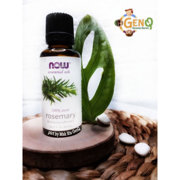 Now Food ROSEMARY Essential oil 1 fl oz / 30 ml | Shopee