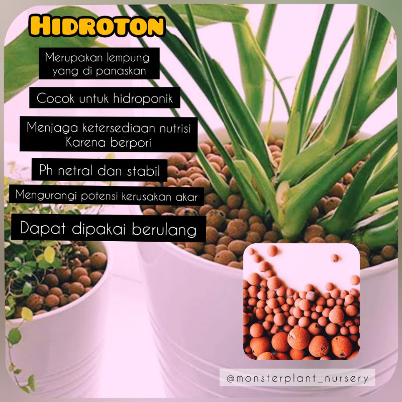 Media tanam hidroton