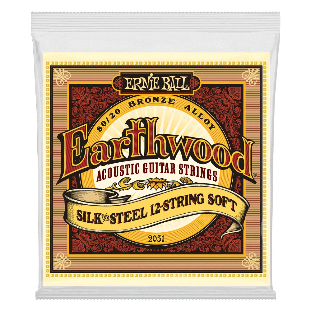 Ernie Ball Earthwood Silk  Steel Soft 12String 8020 Bronze Acoustic Guitar Strings  946 Gauge P02051