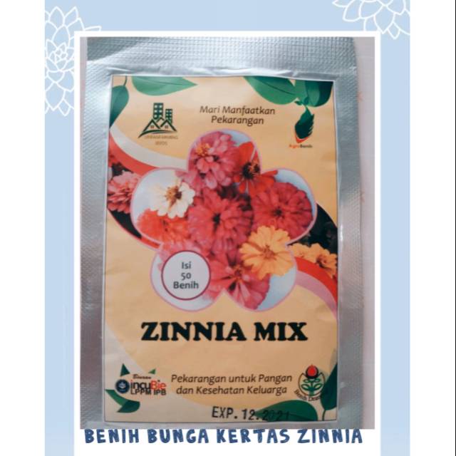Benih Bunga Kertas Zinnia