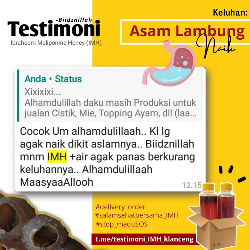 Madu Trigona Klanceng Kelulut