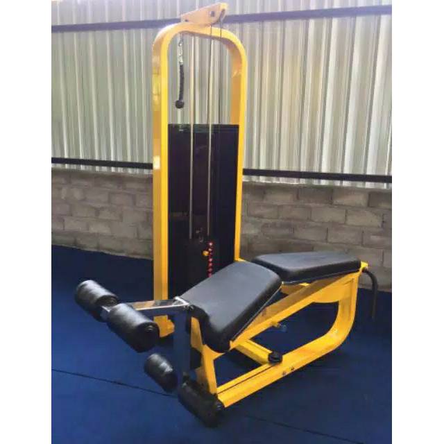 LEG CURL + LEG EXTENSION + TRICEP