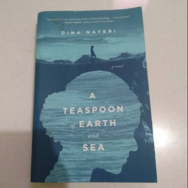 A teaspoon of earth and sea by Dina nayeri novel buku book import english