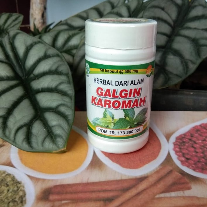 Obat batu ginjal gagal ginjal luruh batu ginjal batu empedu kencing batu menghancurkan batu ginjal