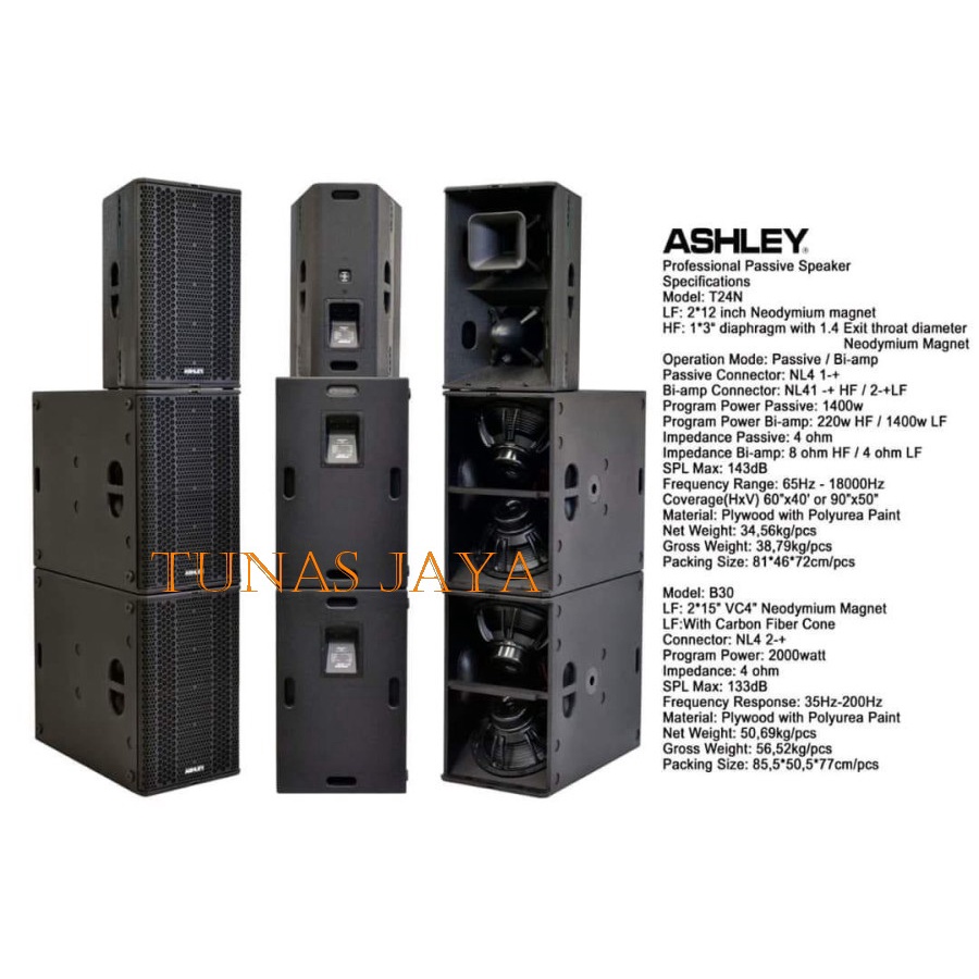 SPEAKER PASIF ASHLEY T24N T 24N T 24 N 2X12 NEODYMIUM MAGNET