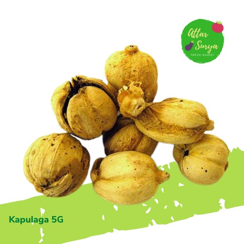

Kapulaga 5G