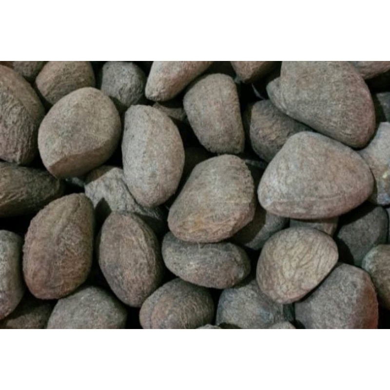 

KLuwek/Pucung/Umpan/ikan/250gram-500gram-1000gram