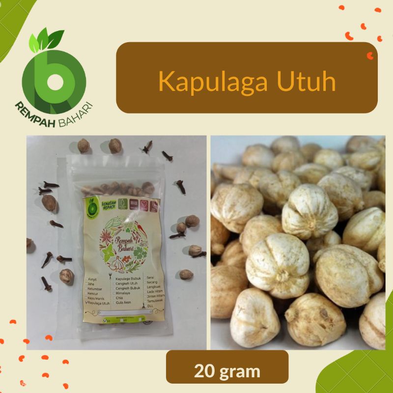 

Kapulaga utuh 30 gram amomum compactum