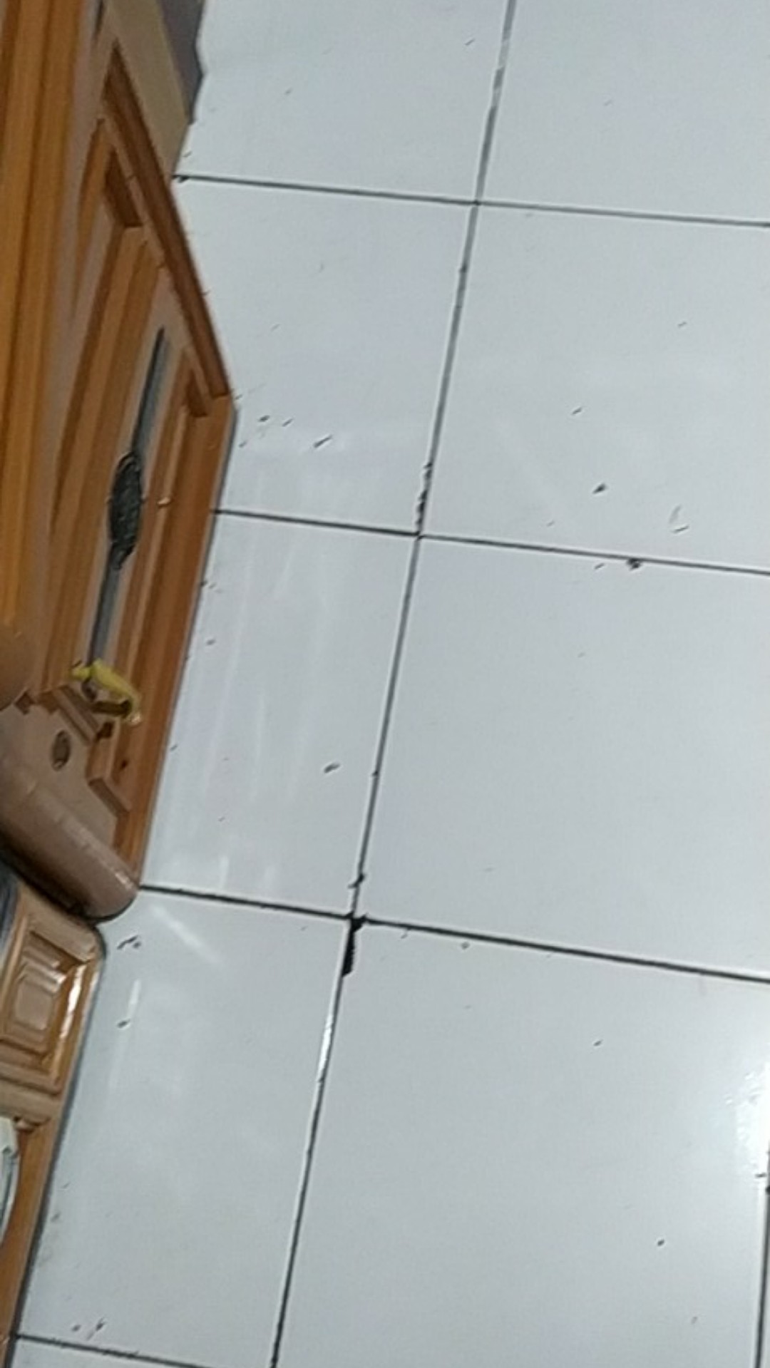 Sarung Batik Pekalongan Black Series Terbaru