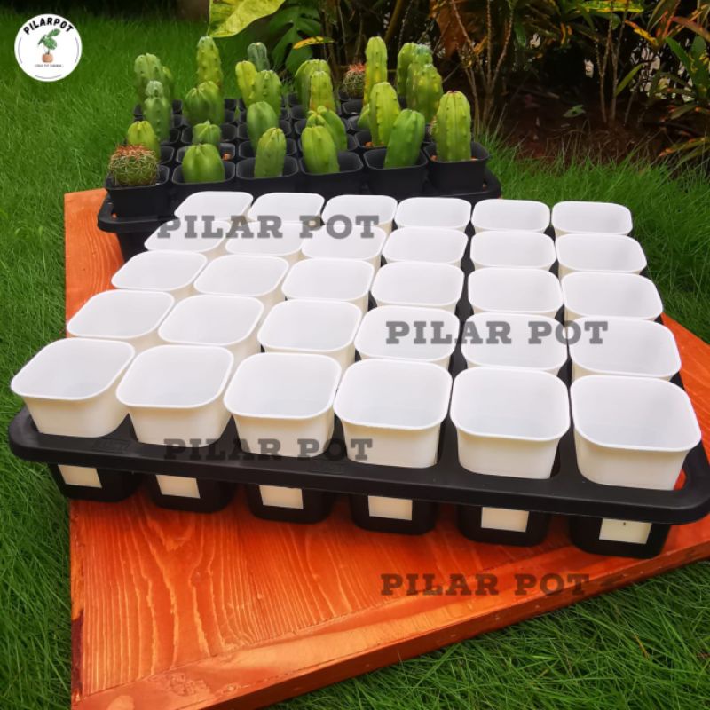 1 SET TRAY LUBANG 30 + POT NKT KOTAK 5CM PUTIH 30 PCS | TRAY SEMAI BIBIT